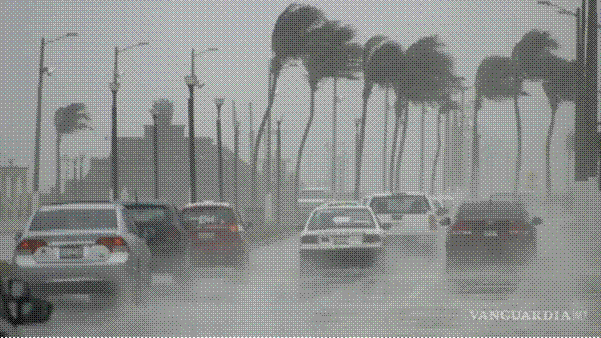 Archivo meteorológico de sistemas frontales en México