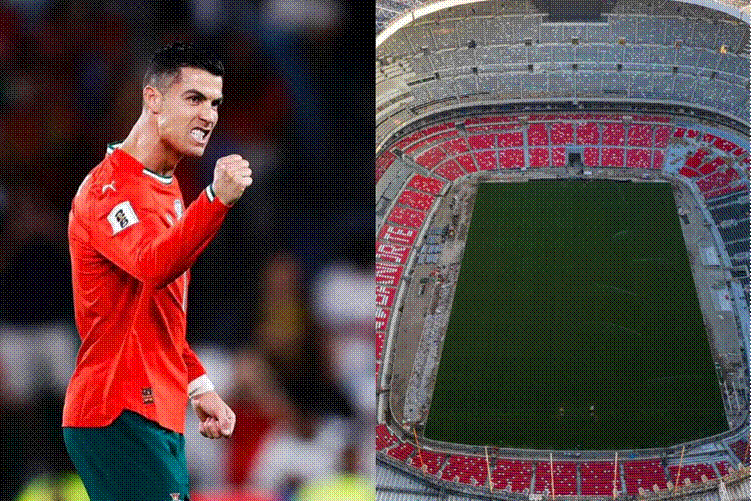 Logotipo de la federación portuguesa de futbol