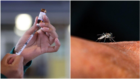 Reporte epidemiológico sobre el avance del sarampión y dengue en territorio mexicano