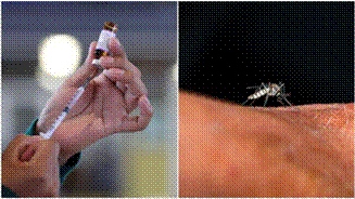 Infografía sobre prevención de enfermedades virales